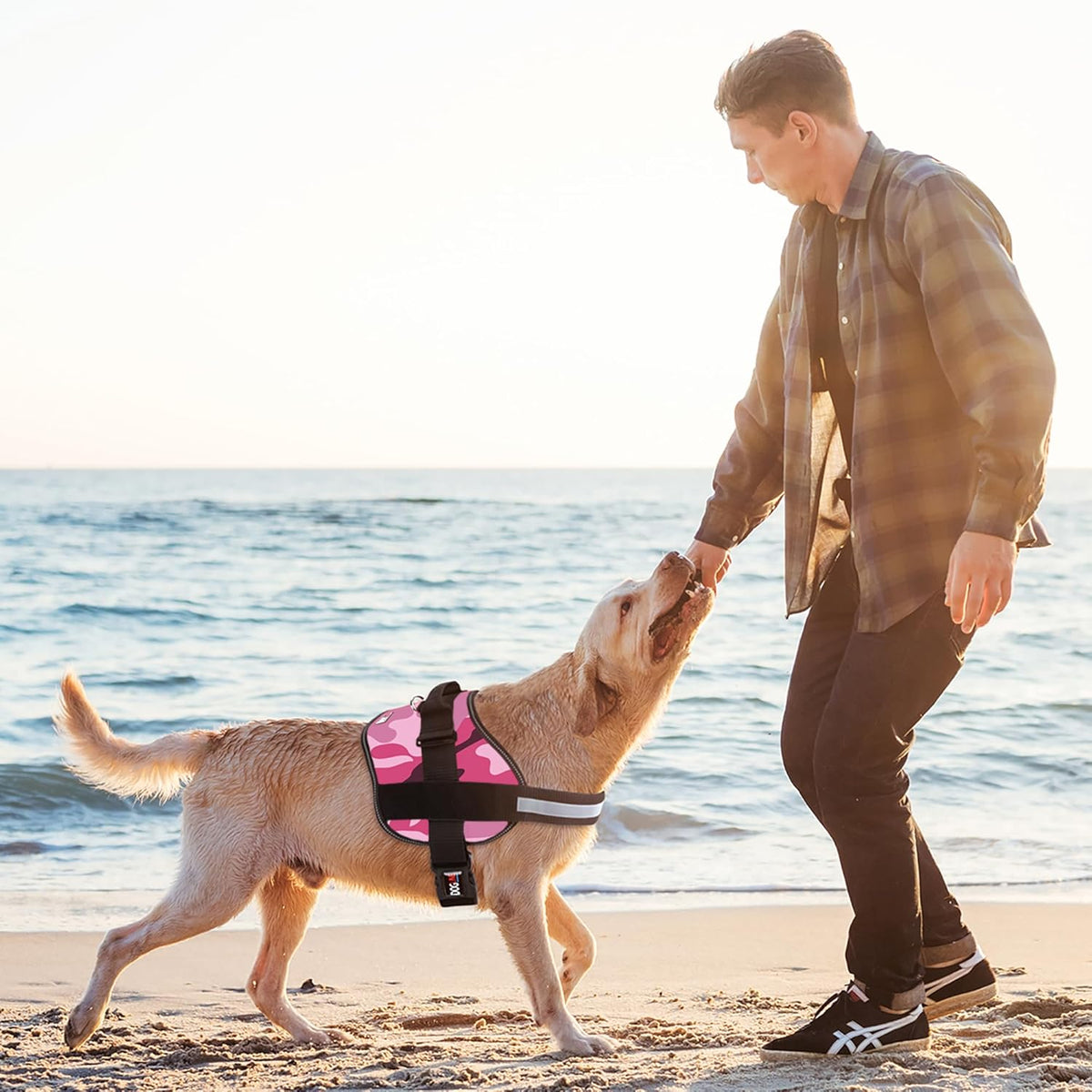 Dogline Dog Harness, Reflective No-Pull Adjustable Vest with Handle for Walking, Training