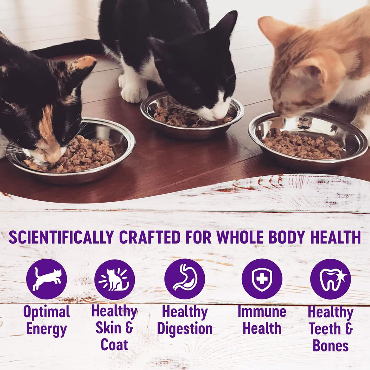 Wellness Healthly Indulgence Morsels Adult Wet Cat Food, Natural, Protein-Rich, Grain Free, 3 Ounce