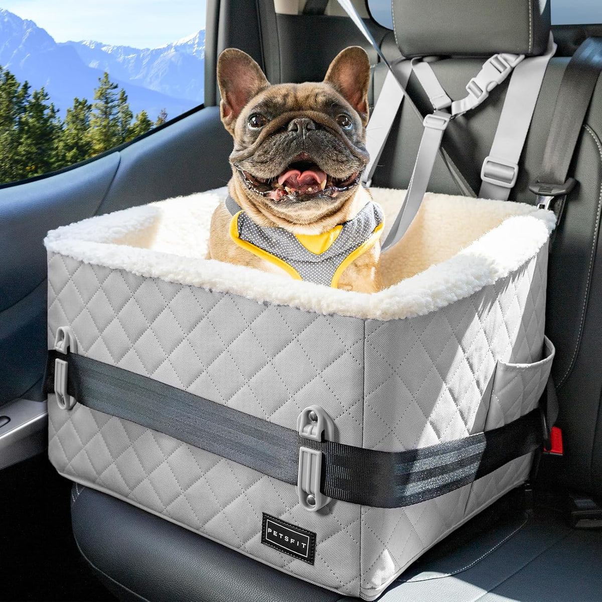 PETSFIT Small Dog Car Seat, Soft Foam Dog Booster Car Seat with Patented Safety Buckles, Storage