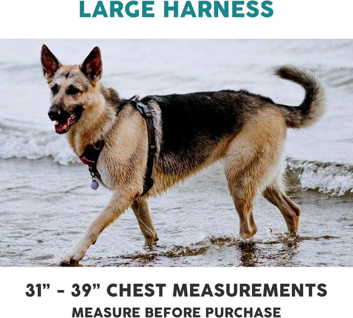 Embark Adventure Dog Harness, Reflective Trim No Pull Dog Harness for Large Dogs - Military Grade