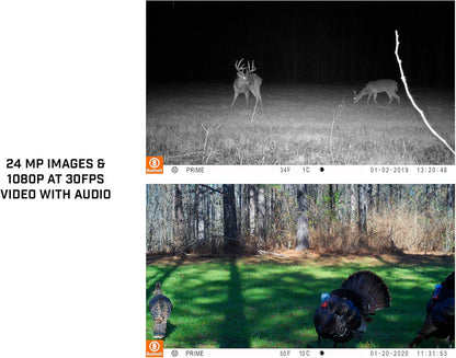 Bushnell Prime Low Glow Trail Camera - 24MP Image Quality, 1080p HD Video, Advanced Sensor