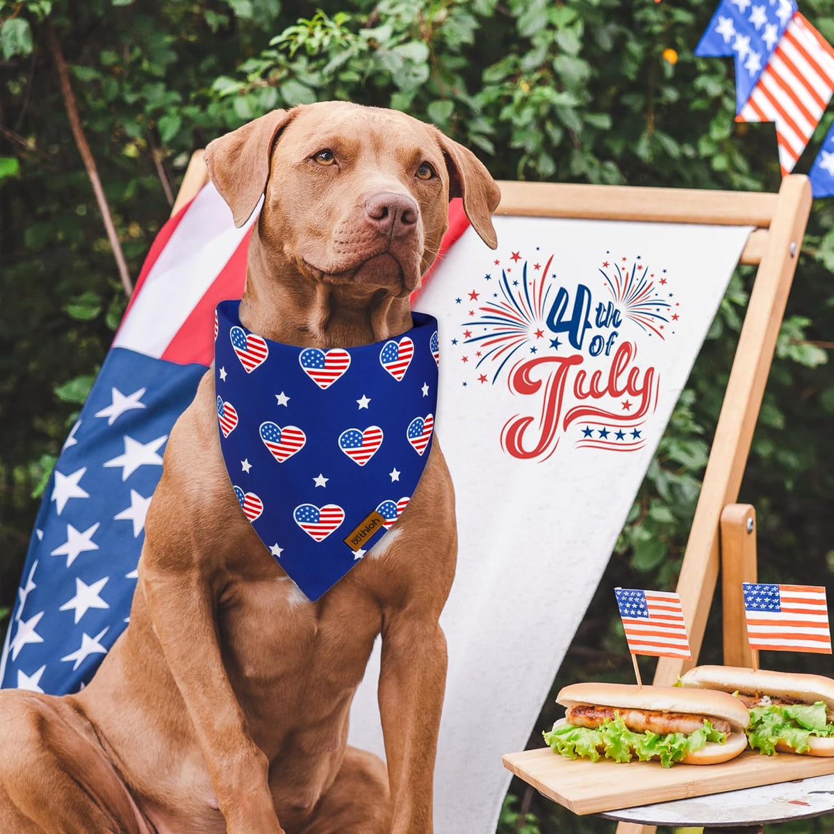 4th of July Dog Bandanas - 2 Pack Reversible American Flag Pet Scarf for Boy and Girl | Premium