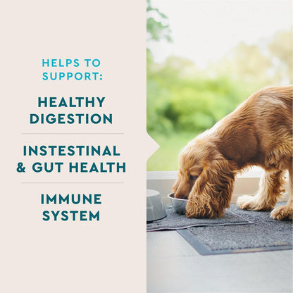 VetIQ Probiotic Supplement for Dogs, Digestive Support for Dogs, Nourishes Gut Bacteria and