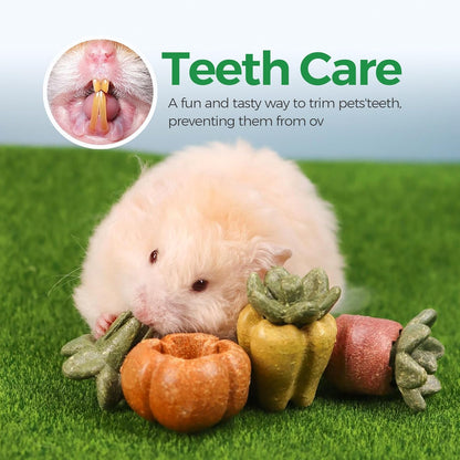 TEEWY Guinea Pig Chew Toys, Natural Vegetables and Timothy Grass, Hamster Chew Toys, Prevents