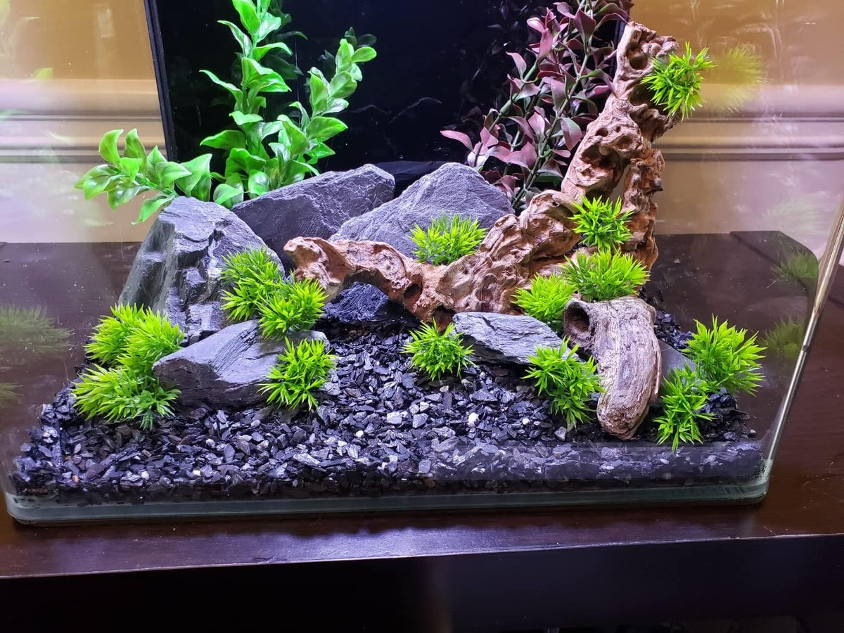 Natural Slate Stone 5 to 7 Inches - USA Sourced and Packaged for Aquascaping Aquariums, Terrariums