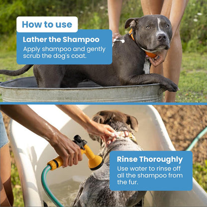 Medicated Organic Dog Shampoo Bar for Hot Spots, Dry Coat, and Allergies, All Natural Dog Shampoo