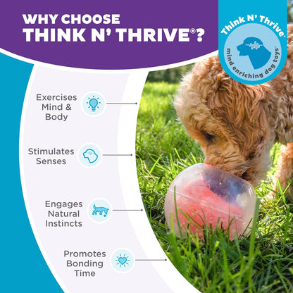 Outward Hound Nina Ottosson Topsy Treat Ball Dog Puzzle Interactive Treat Puzzle Dog Enrichment Dog
