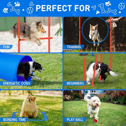 Polar Aurora Dog Agility Equipment, Dog Obstacle Courses Backyard - Pet Outdoor Games w/Adjustable