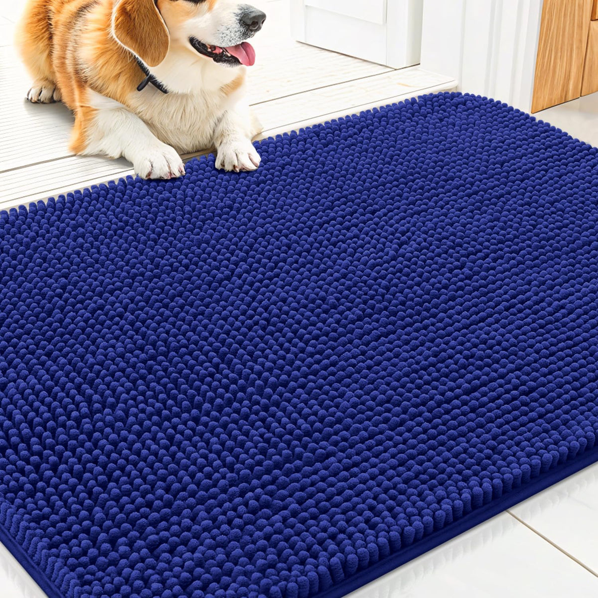 Smiry Dog Door Mat for Muddy Paws 30x20, Absorbs Moisture and Dirt Doormat, Non-Slip Washable Quick