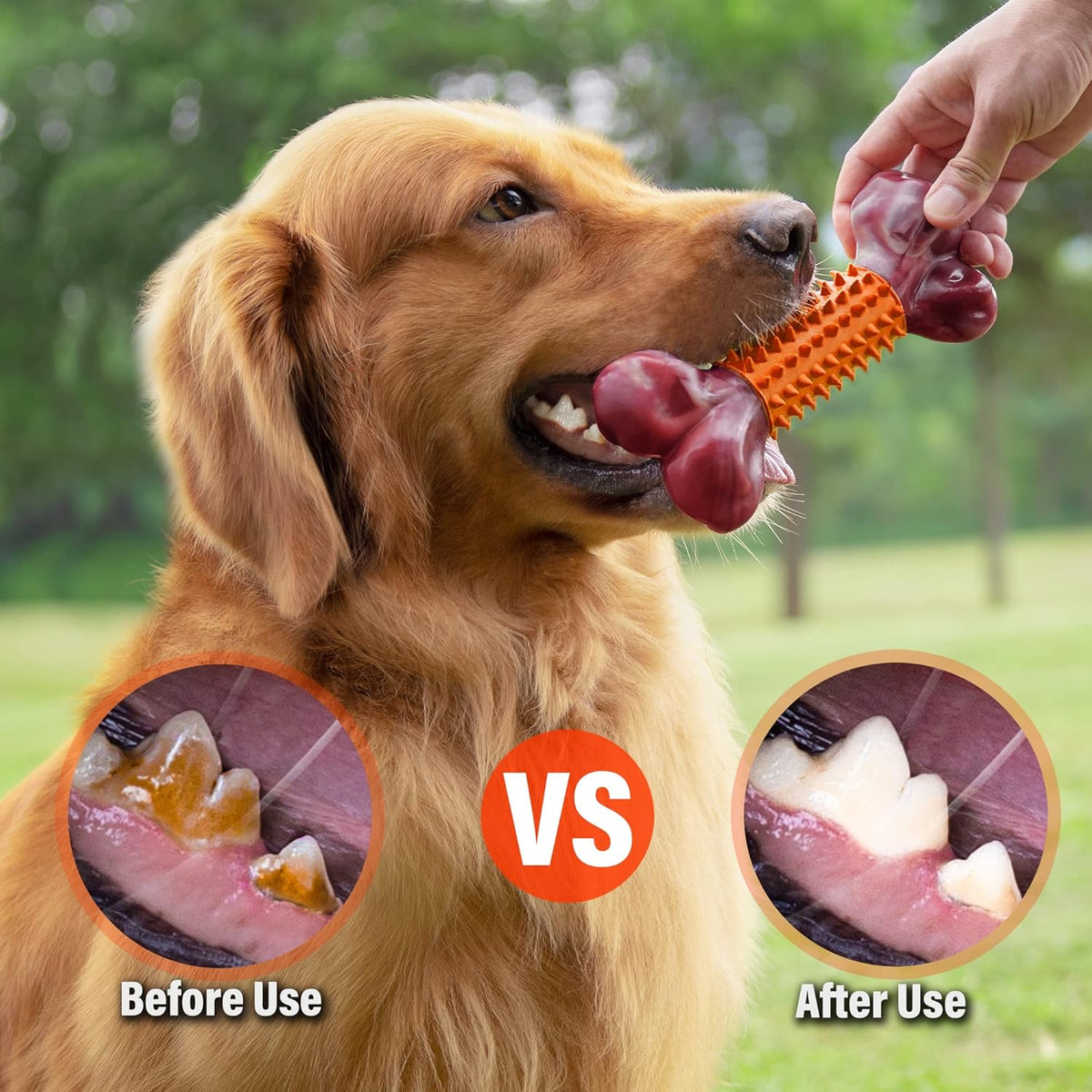 Apasiri Dog Toys for Aggressive Chewers Large Breed 2-Pack: Heavy Duty Chew Toys for Medium Dogs