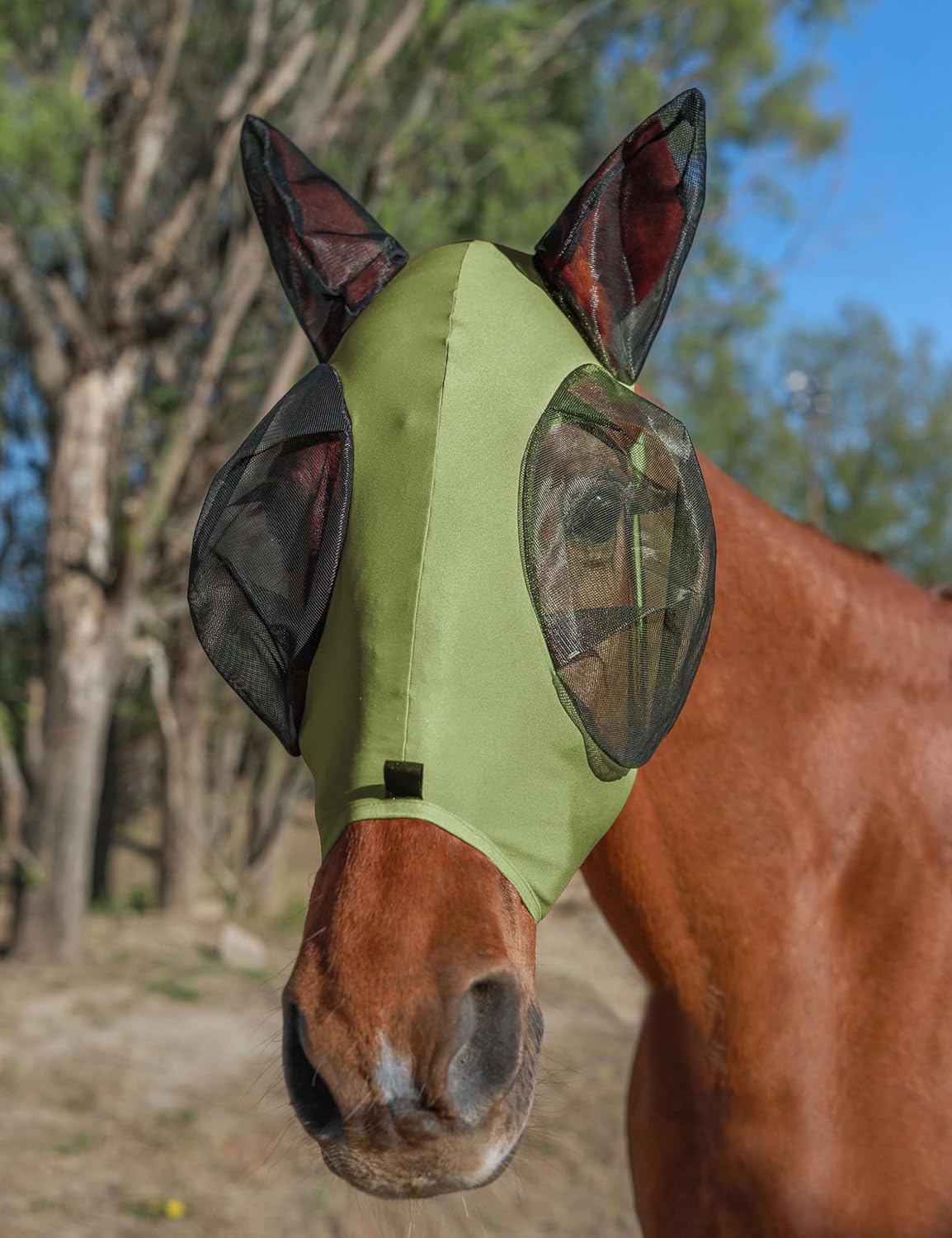 Horse Fly Mask with Ears, UV Protection for Horses, Elasticity with Big Mesh Eye Covers, Snug