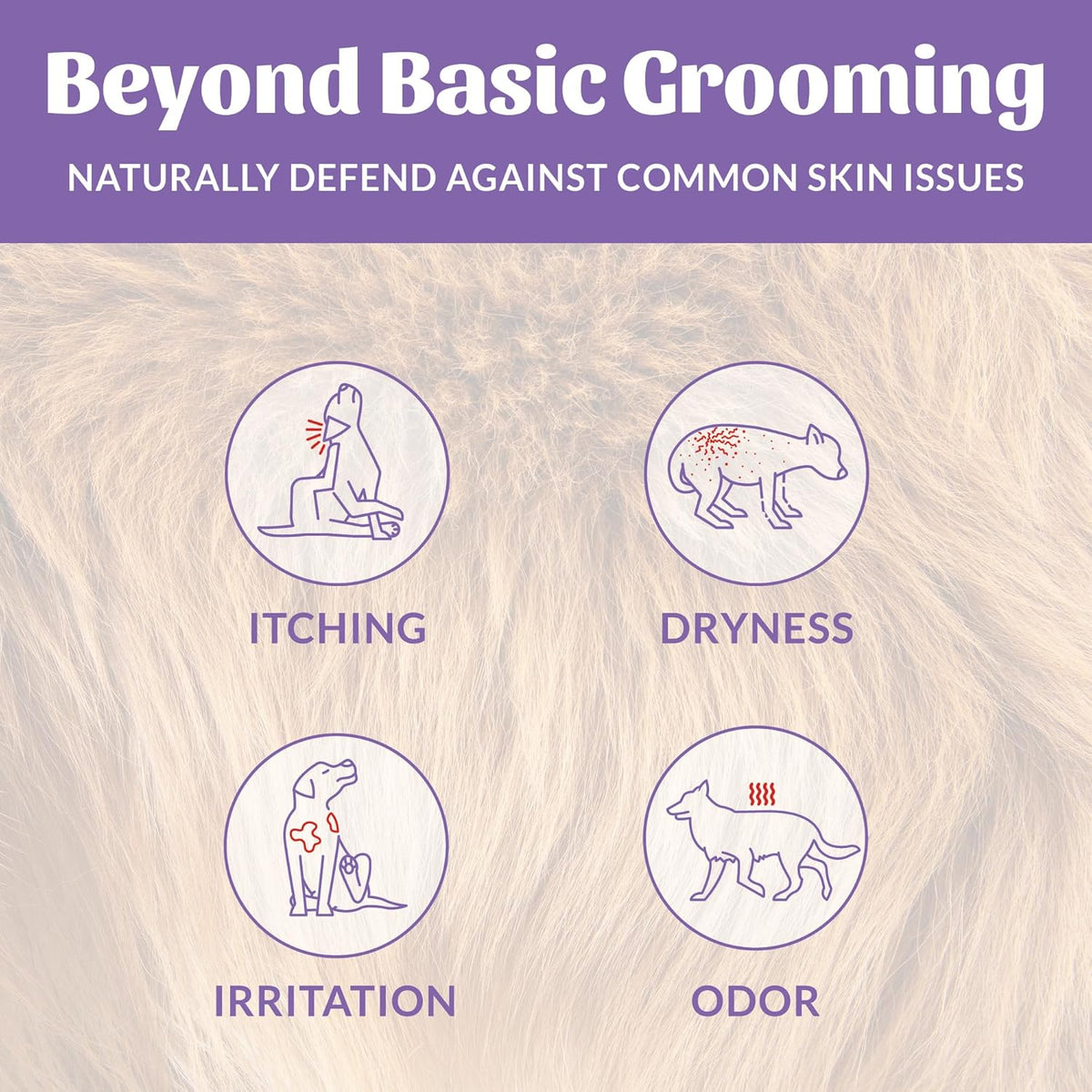 Skout's Honor Probiotic Dog Shampoo & Conditioner with Avocado Oil & Omega-3s, 97% Natural, Paraben