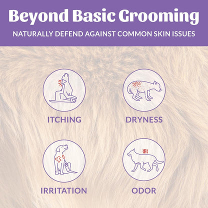 Skout's Honor Probiotic Dog Shampoo & Conditioner with Avocado Oil & Omega-3s, 97% Natural, Paraben