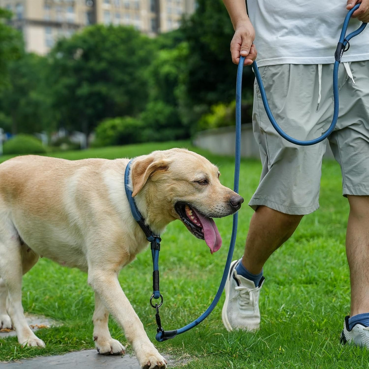 Rope Dog Leash, 4 ft Heavy Duty Dog Leash with Aviation Aluminum Auto Locking Carabiner, Strong