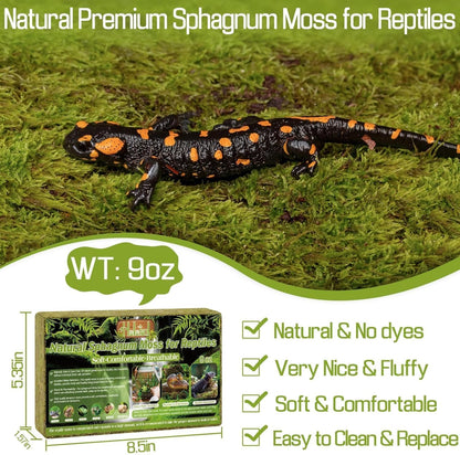 Halatool 9OZ Natural Sphagnum Moss for Reptiles- 14QT Green Live Moss for Terrarium Plants Long