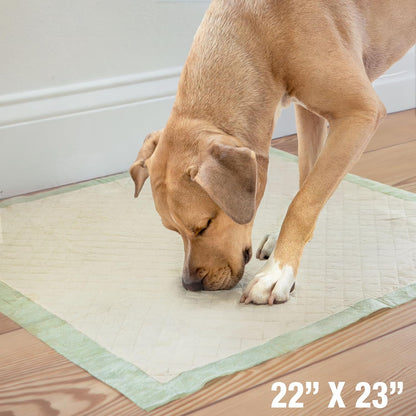 Four Paws Wee-Wee Superior Performance Bamboo Pee Pads for Dogs, Earth Friendly Dog & Puppy Potty
