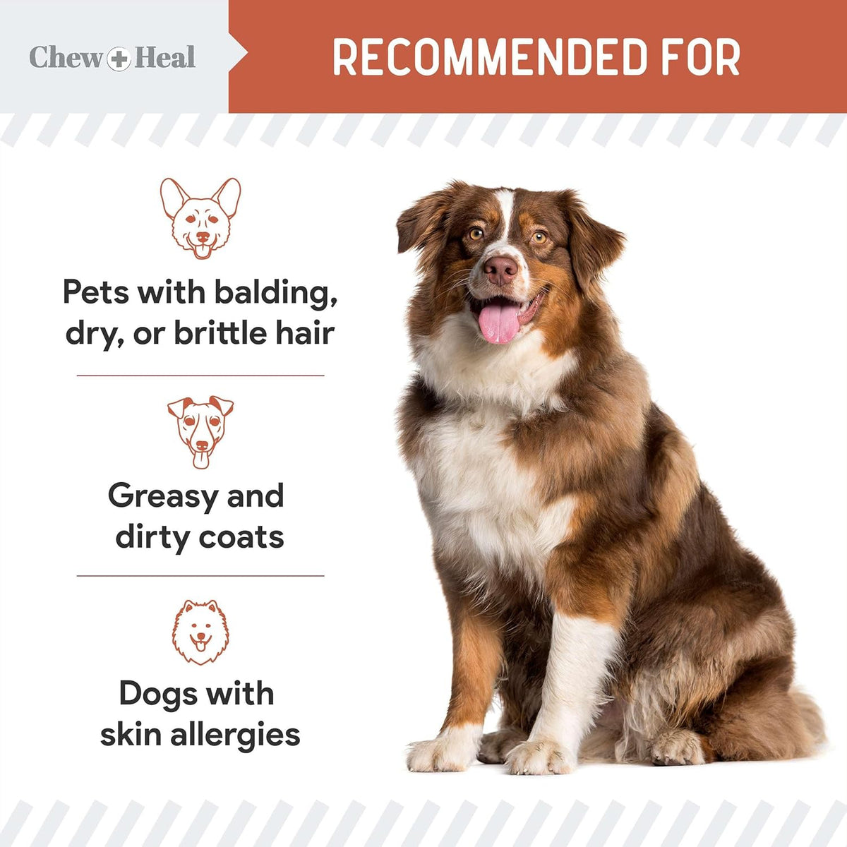 Fish Oil Omega 3 Supplements for Dogs -360 Soft Chew Treats for Skin and Coat -Salmon Oil Blend of