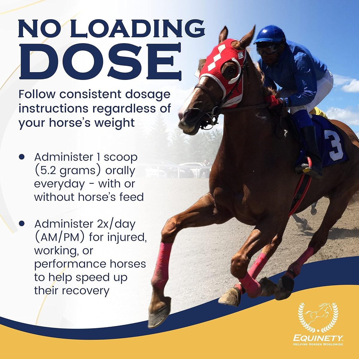 100-Day Supply Horse XL Supplements – Horse Care Weight Gain Supplement W/ 8 Amino Acids - No Soy