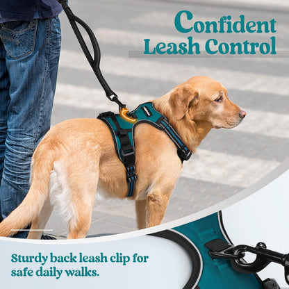 rabbitgoo Dog Harness No Pull with 2 Leash Clips, Adjustable Soft Padded, Reflective Oxford No