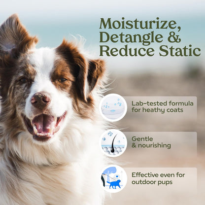 PAWFUME Dog Perfume Spray for Grooming, Blue Ribbon, 4-Pack – Keep Your Pup Fresh All Day