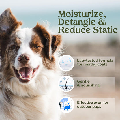 PAWFUME Dog Perfume Spray for Grooming, Blue Ribbon, 1-Pack – Keep Your Pup Fresh All Day