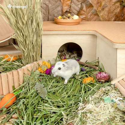 Niteangel Natural & Soft Hamster Bedding Mate Small Animal Habitat Decor for Syrian Dwarf Hamsters