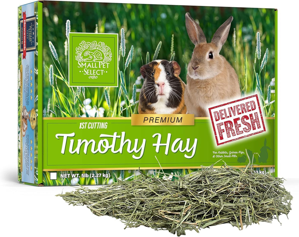 Small Pet Select 1st Cutting Timothy Hay, Animal Food for Guinea Pig, Rabbit, Hamster, Bunny, or