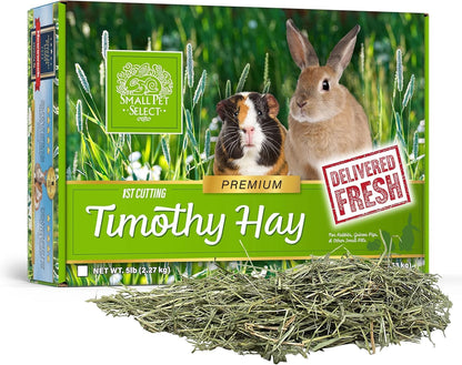 Small Pet Select 1st Cutting Timothy Hay, Animal Food for Guinea Pig, Rabbit, Hamster, Bunny, or