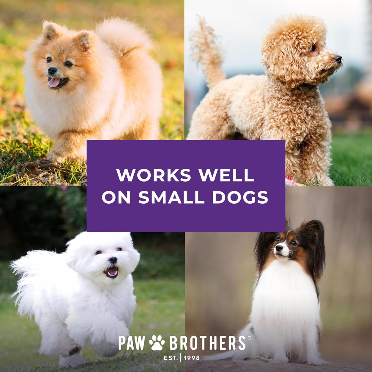 Ryan's Pet Supplies Paw Brothers Nail Clipper for Dogs and Cats, Pet Nail Clippers, Safe Grooming