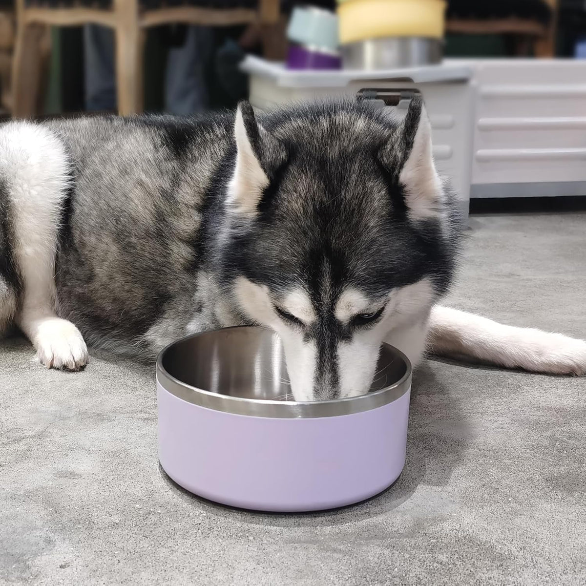 Stainless Steel Dog Bowls, Metal Dog Bowls, Water Bowl for Dogs, Dog Food Bowls, Pet Bowls for