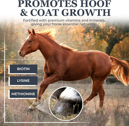 Equerry's Combined RX 4 Way | Equine Nutritional Support | Complete Formula | Digestive and Joint