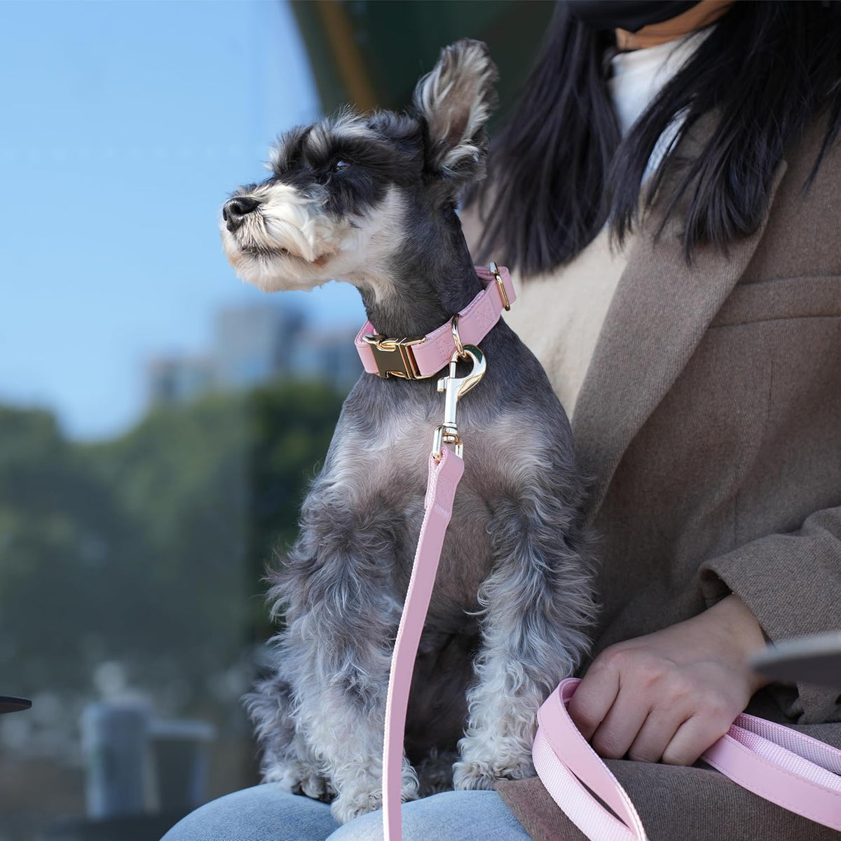 PET ARTIST Soft PU Leather Dog Collar, Bright & Classic Pink Dog Collar with Quick Release Rose