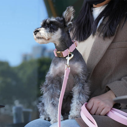 PET ARTIST Soft PU Leather Dog Collar, Bright & Classic Pink Dog Collar with Quick Release Rose