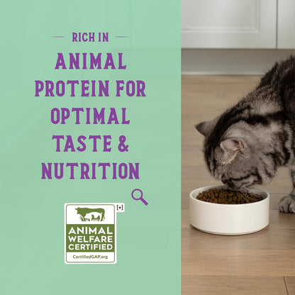Open Farm Goodbowl, Protein Rich Dry Cat Food Made from Meticulously Sourced Simple Ingredients