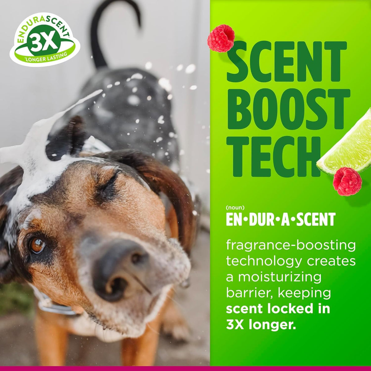 TropiClean Deodorizing Dog Shampoo, Powerful Odor Control, Long-Lasting Raspberry Lime Scent, Puppy
