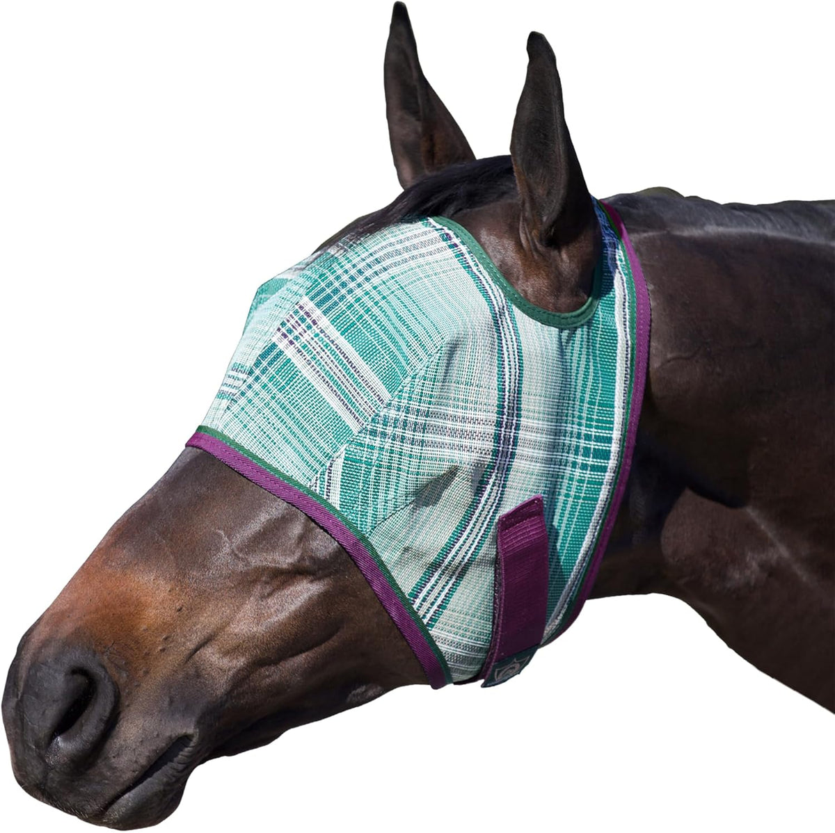 Kensington Fly Mask Web Trim Protects Horses Face and Eyes from Bites and Sun Rays While Allowing