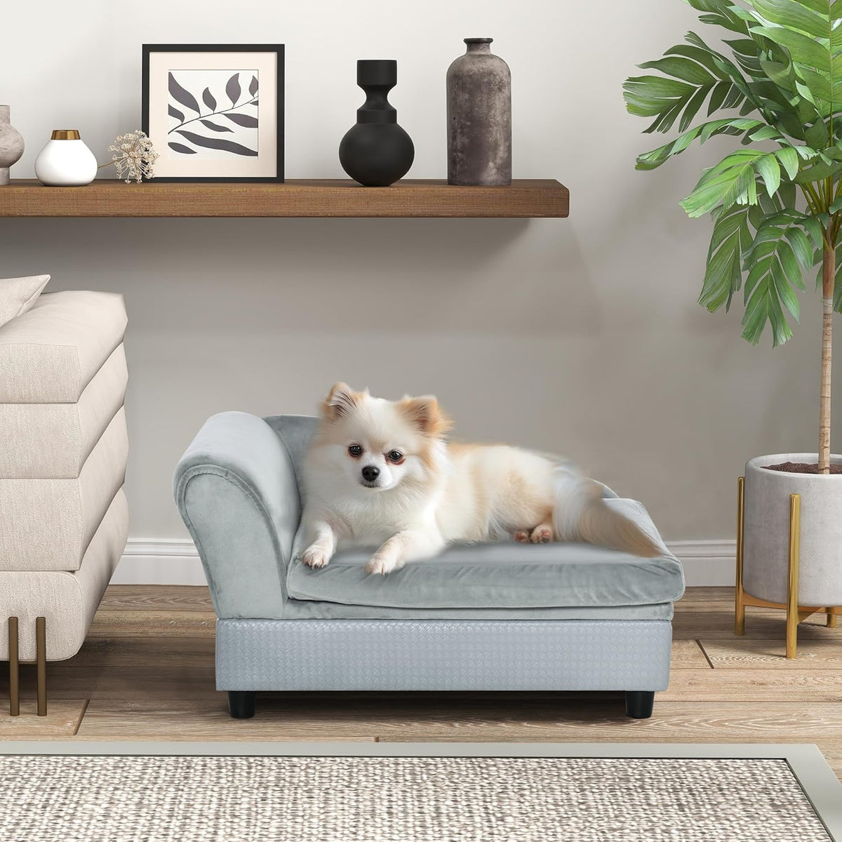 PawHut Luxury Fancy Dog Couch with Hidden Storage, Small Dog Sofa Bed with 2" Soft Foam, Modern Pet