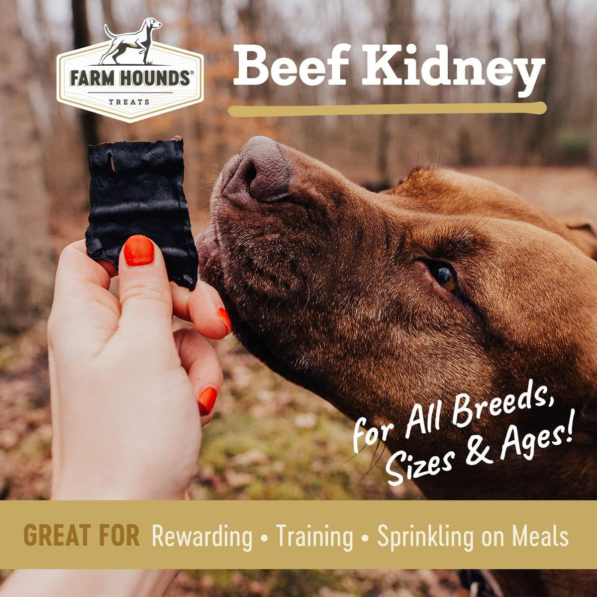Farm Hounds - Beef Kidney - Premium Natural Beef Kidney Jerky For Dogs - Made From 100% Humanely