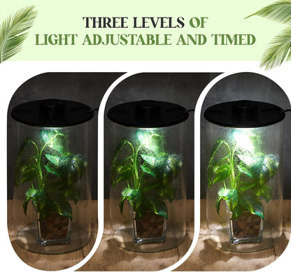 Maxdot Glass Plant Terrarium Kit with Light for Succulent, Moss, Miniature Gardening Landscape