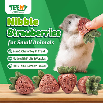 TEEWY 4PCS Hamster Chew Toys, Guinea Pig Chew Toys for Teeth with Natural Vegetables and Timothy
