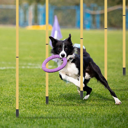 Dog Agility Training Hurdle Cone Set, Adjustable Dog Agility Equipment Obstacle Course Backyard