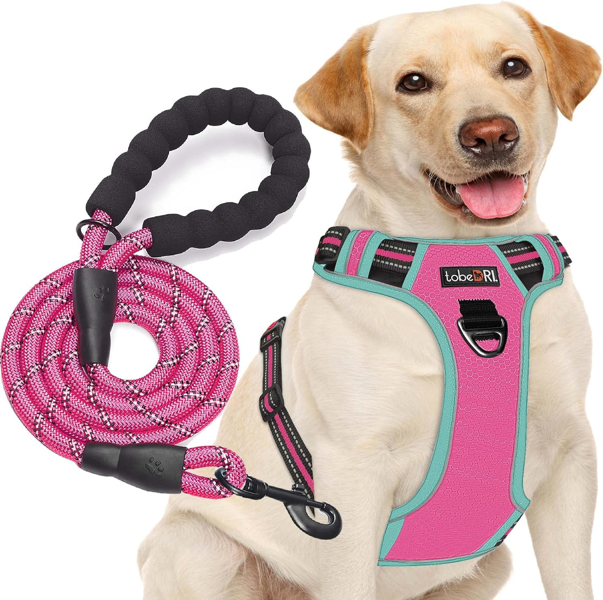 No Pull Dog Harness Adjustable Reflective Oxford Easy Control Medium Large Dog Harness with A Free