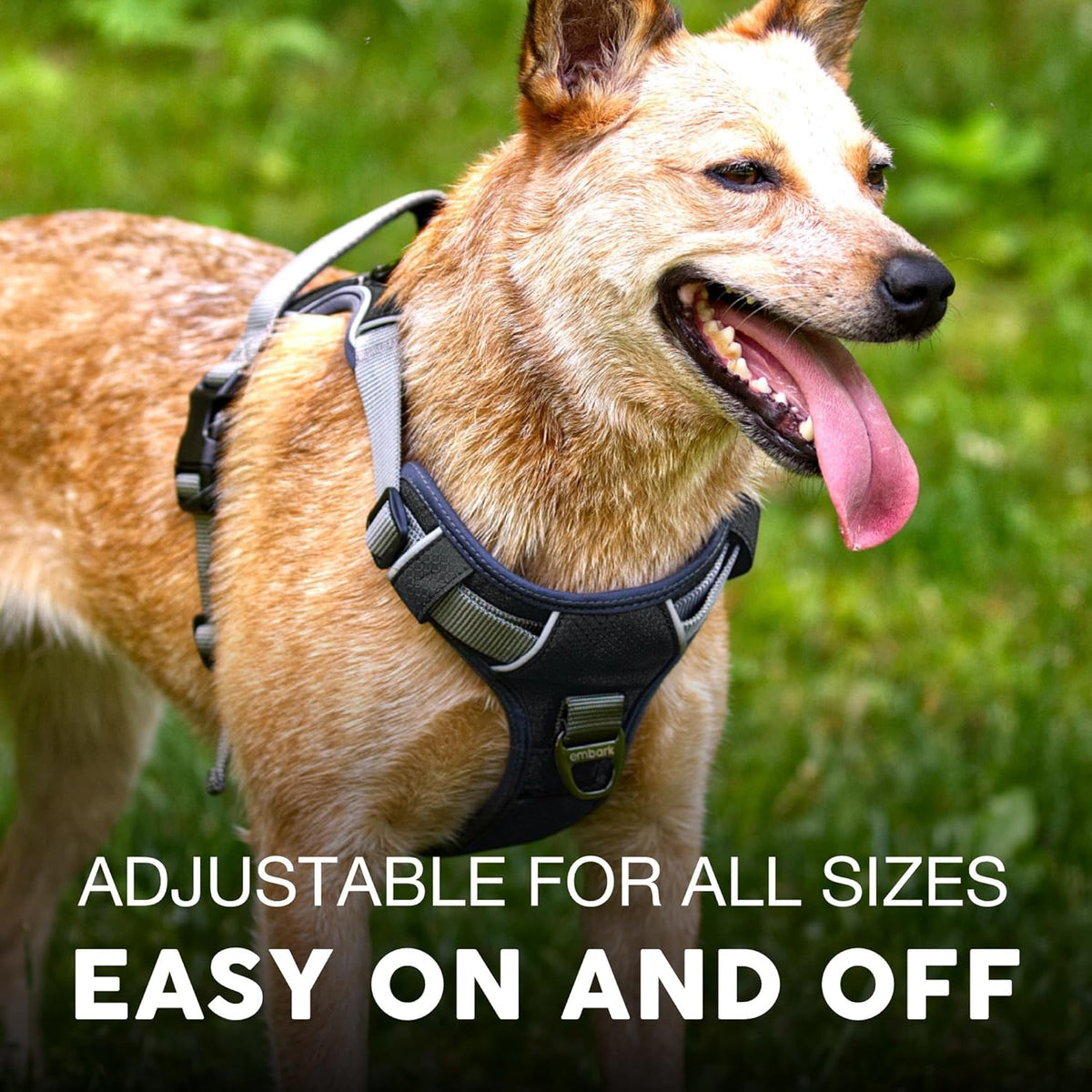 Embark Adventure Dog Harness, No-Pull Reflective Trim Dog Harness for Small, Medium & Large Dogs