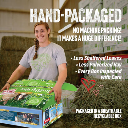 Small Pet Select 1st Cutting Timothy Hay, Animal Food for Guinea Pig, Rabbit, Hamster, Bunny, or