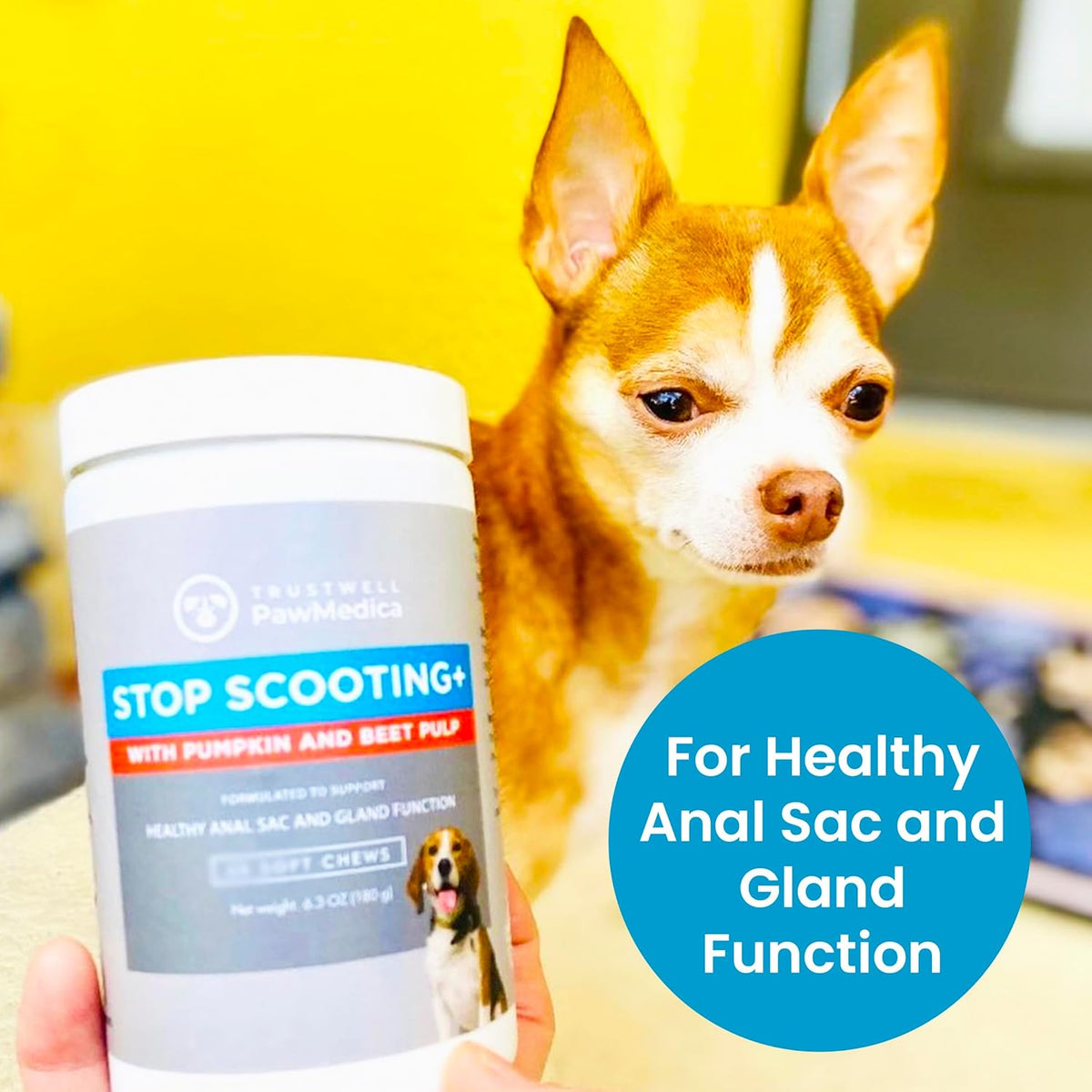 PawMedica Dog Anal Gland Chews to Stop Scoot for Dogs - Anal Gland Dog Constipation Relief