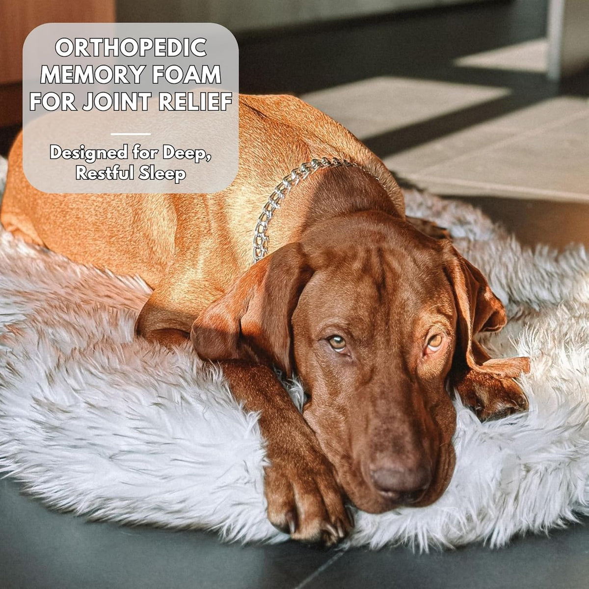 IHAPPYDOG Luxury Faux Fur Orthopedic Dog Bed, Memory Foam Dog Bed for Small, Medium, Large and XL