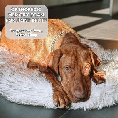IHAPPYDOG Luxury Faux Fur Orthopedic Dog Bed, Memory Foam Dog Bed for Small, Medium, Large and XL