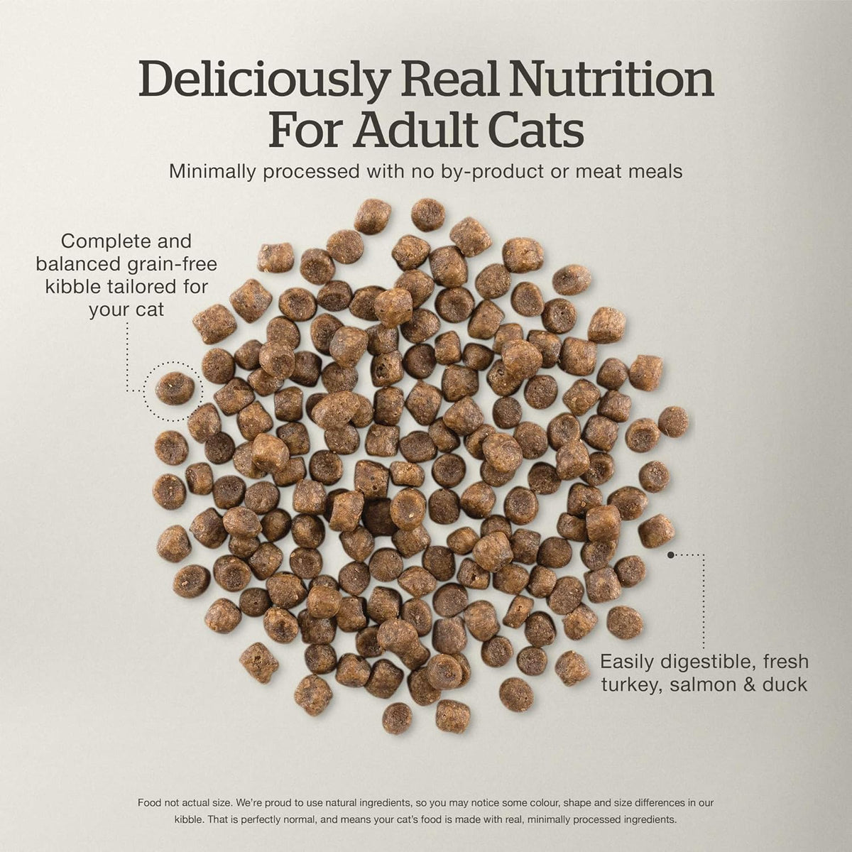 Now Fresh Grain-Free Dry Cat Food with Turkey, Salmon & Duck, Healthy Kibble for Adults Made with