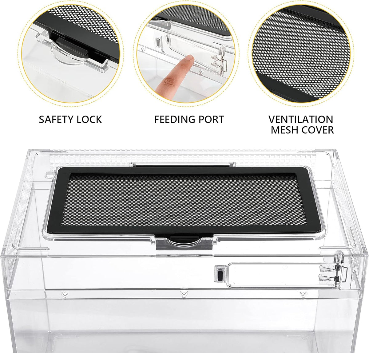 Reptile PC Terrarium,Anti Breakage 12x7x9 inch Insect Amphibians Tank Spider Starter Kits,Top