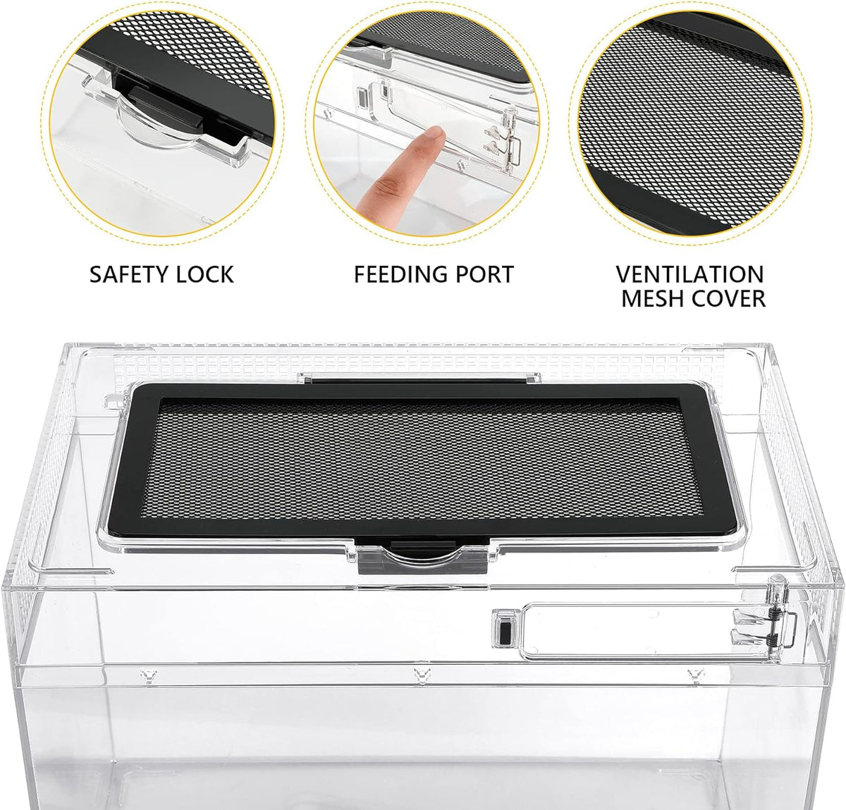 Reptile PC Terrarium,Anti Breakage 15x8x10inch Amphibians Insect Tank Gecko Starter Kits,Top